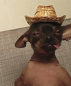 1761444285053.gif