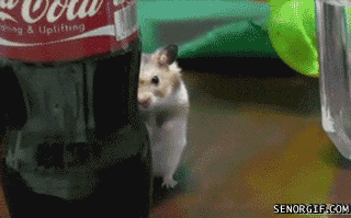 1762805010084.gif