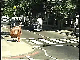 1763566191581.gif