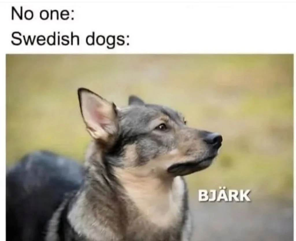 1763669461970.webp
