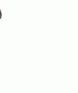 1764780527508.gif