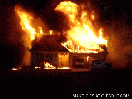 1765045387517.gif