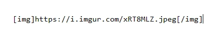 1769130083161.webp