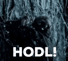 1770605782898.gif