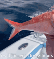1770908644182.gif