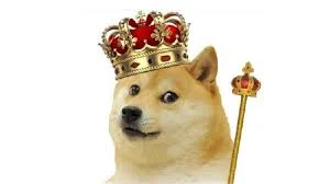 1771328787074.webp