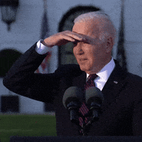 1774806020553.gif