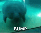 1777055350823.gif