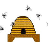1778083716248.webp