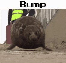 1778893650079.gif