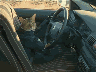1780091874886.gif