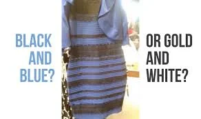 1781382383545.webp