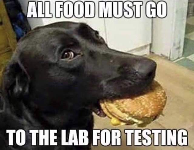1AD423E6-581D-478F-AFFB-0C198CAECC13.jpeg