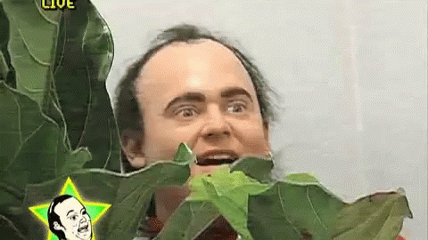1C54D3A2-873F-4ACD-A2F3-174306DAF8CE.gif