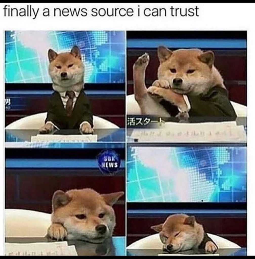 1qfjvy8rgtc21.jpg
