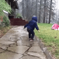 200 (1).gif