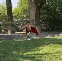 200 (6).gif