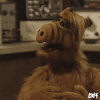 200w (4).gif