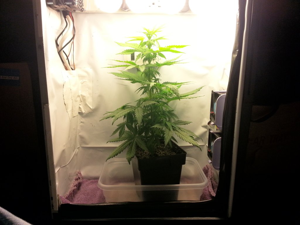 20130223_171247.jpg