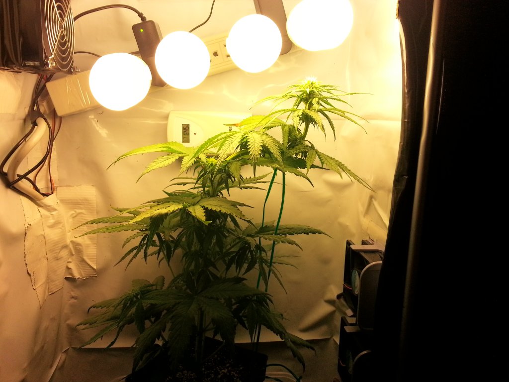 20130302_180539.jpg