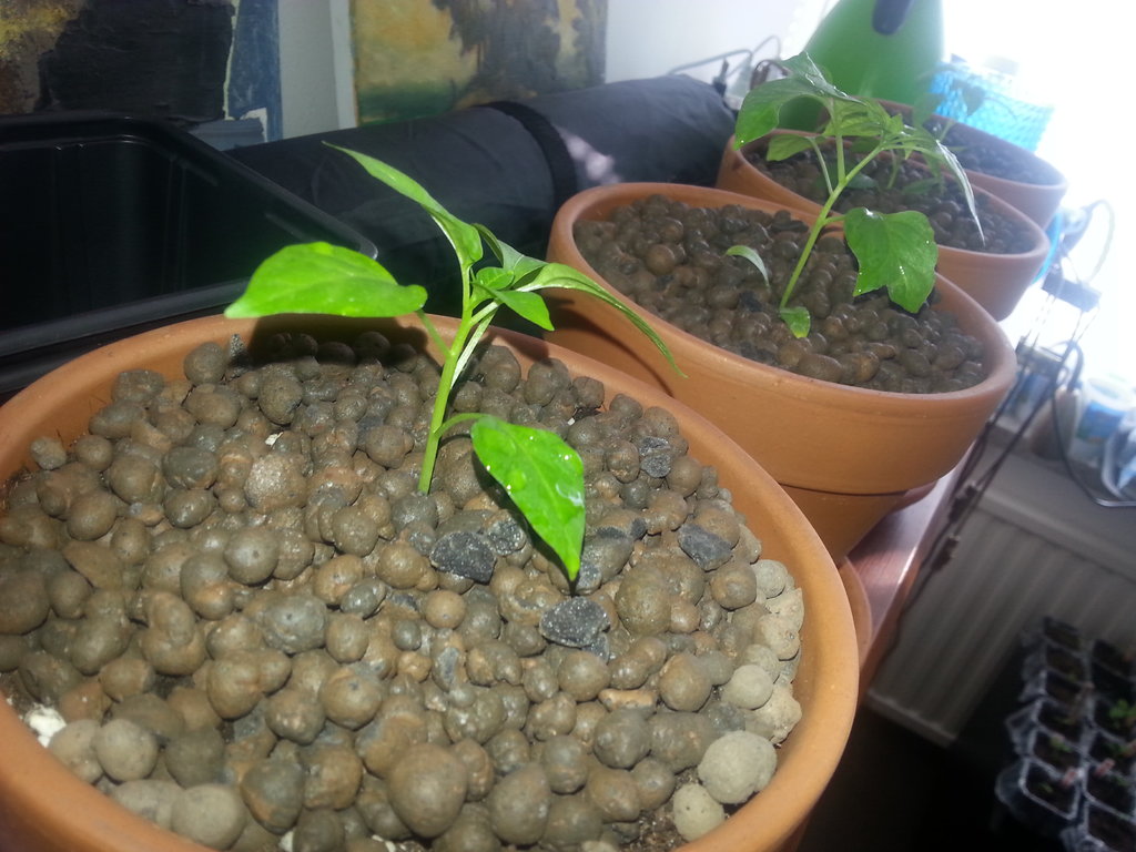 20150315_142412.jpg