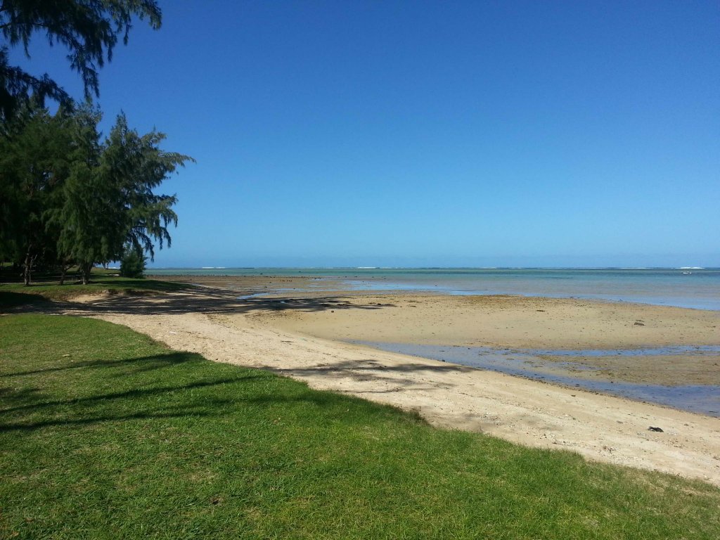 20150626_105540.jpg