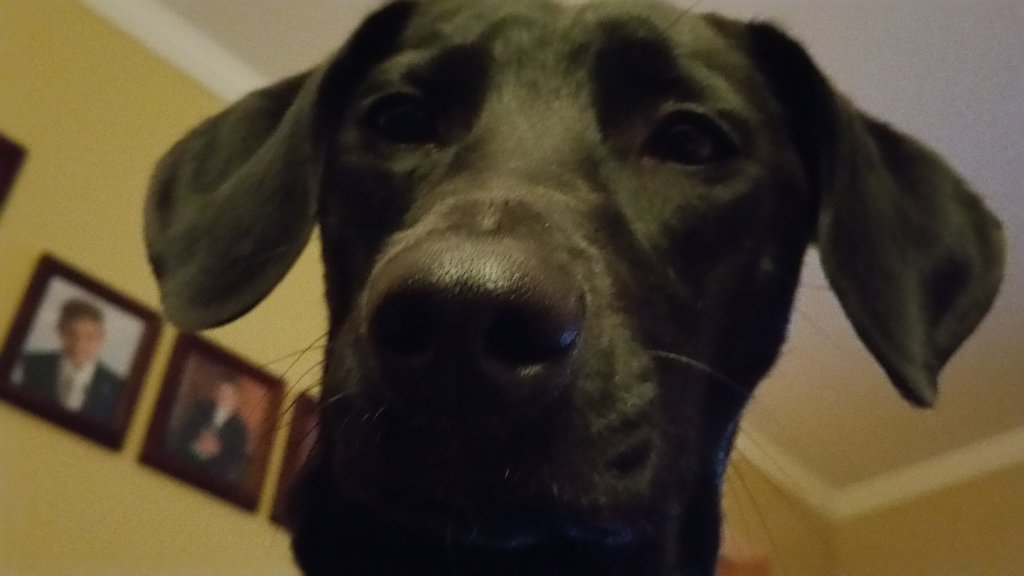 20160120_204939.jpg