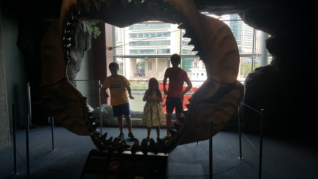 20160724_114201.jpg