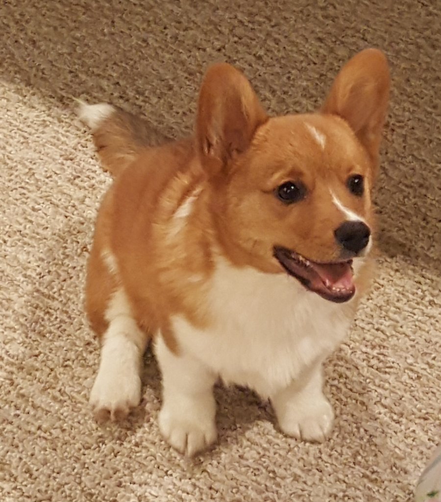 20170427_235827.jpg