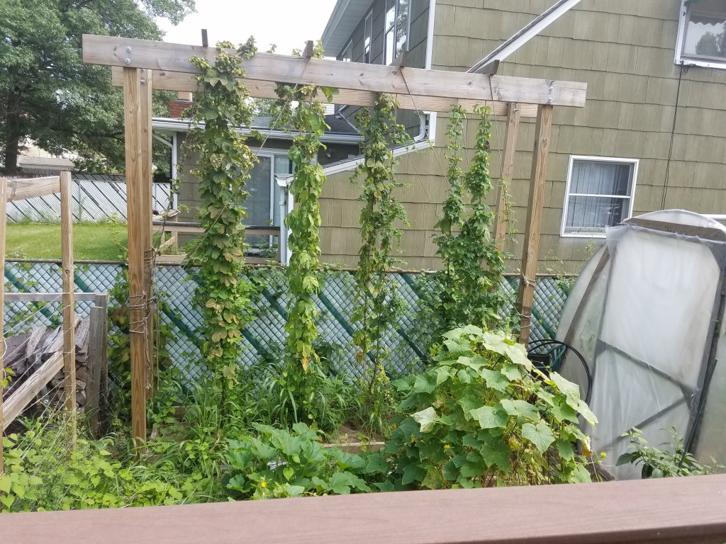 20170827_131837.jpg