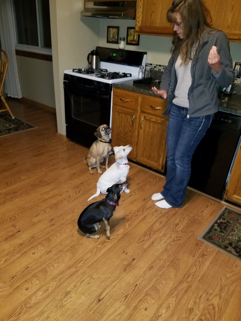 20171117_183751.jpg