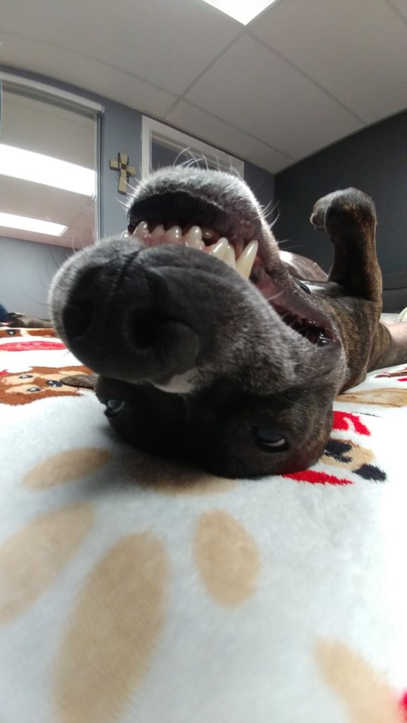 20180131_070837_HDR.jpg