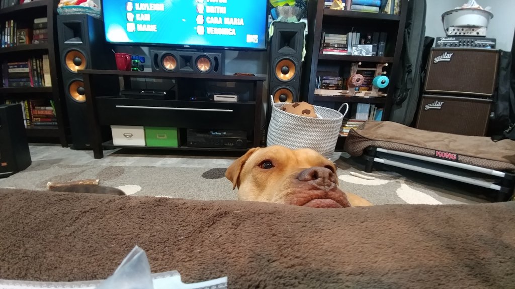 20180207_125903.jpg