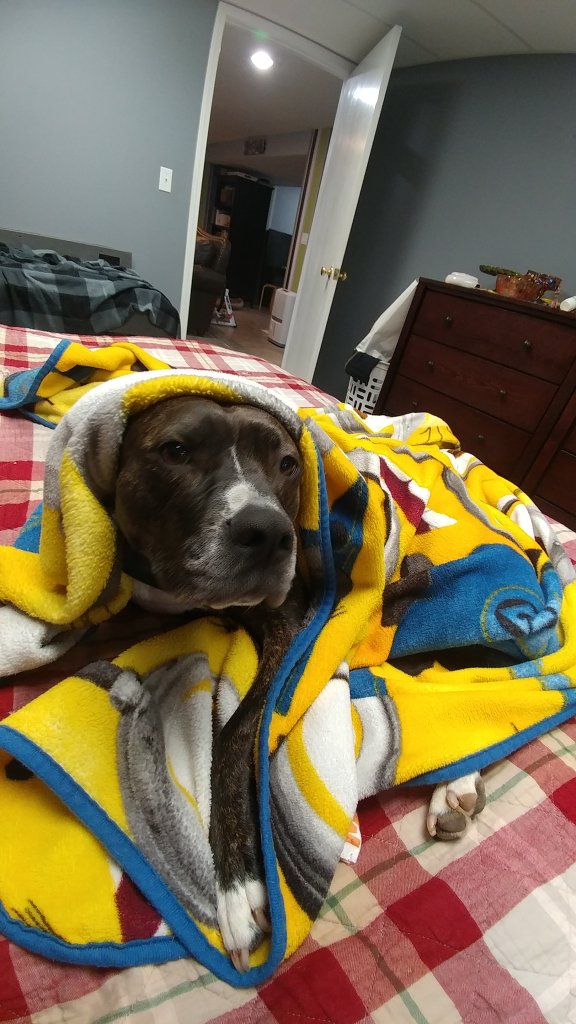 20180222_072227.jpg