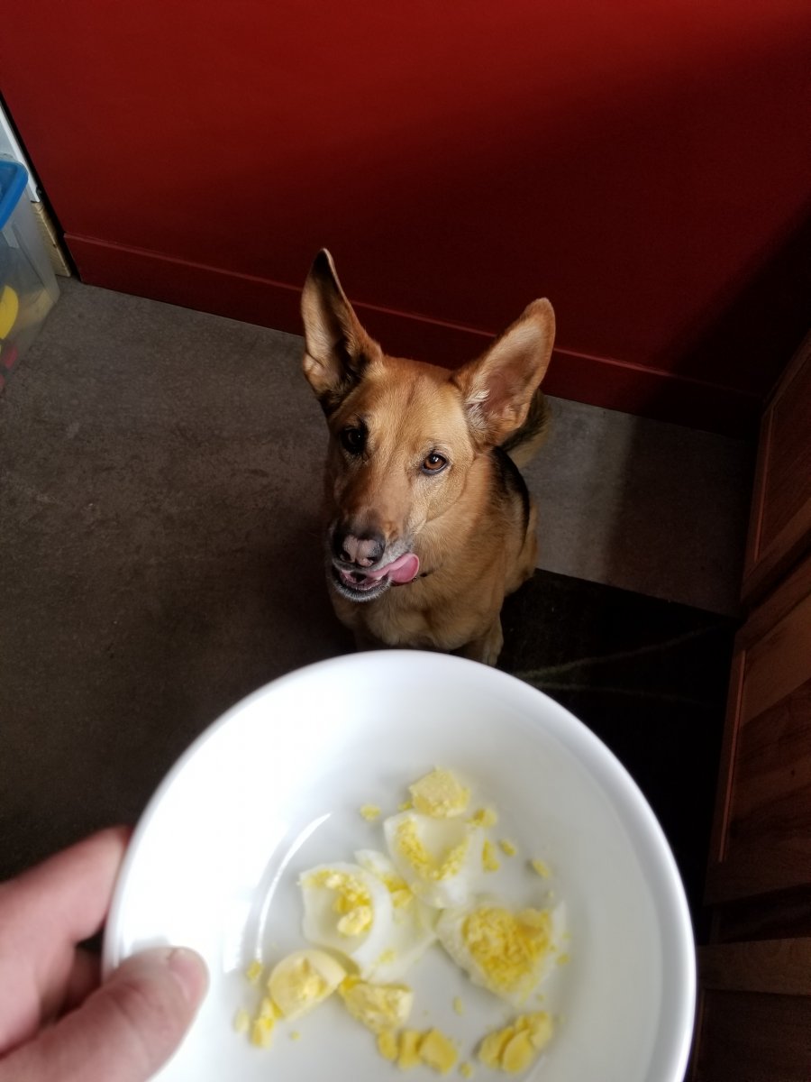 20180322_091949.jpg