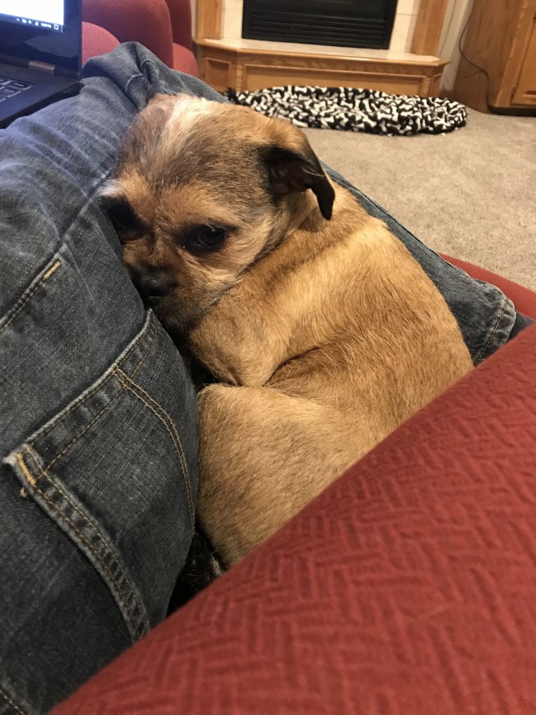 20180405_030726470_iOS.jpg