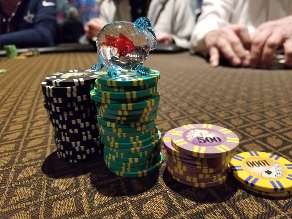 20180415_124319.jpg