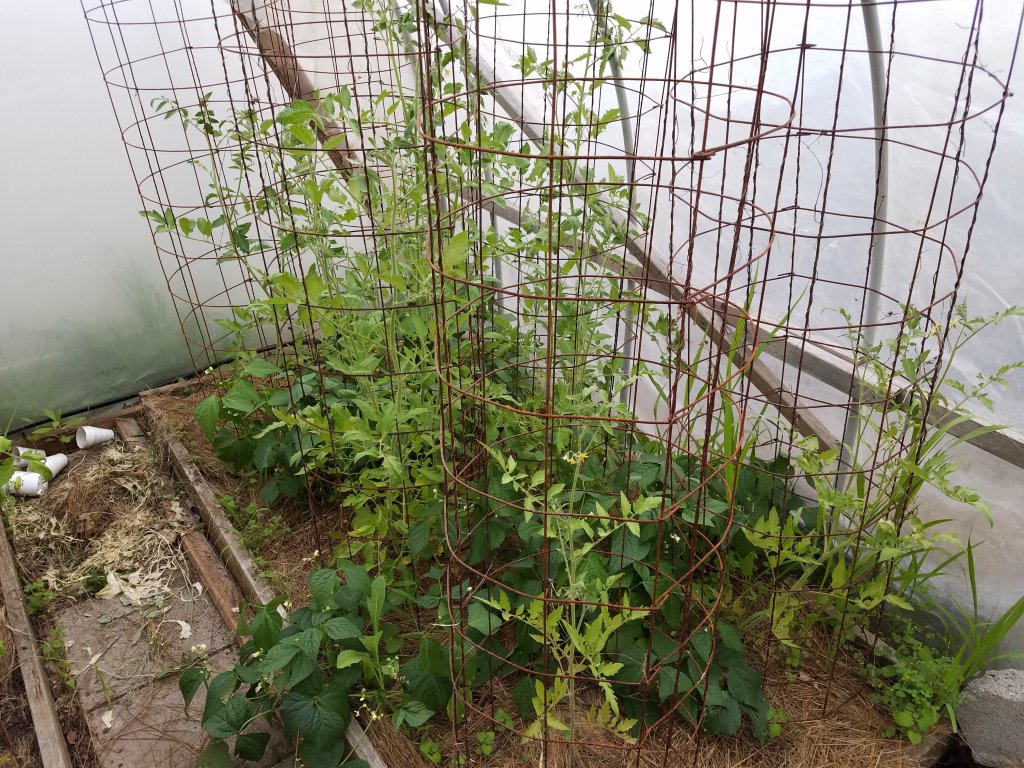 20180617_194409.jpg