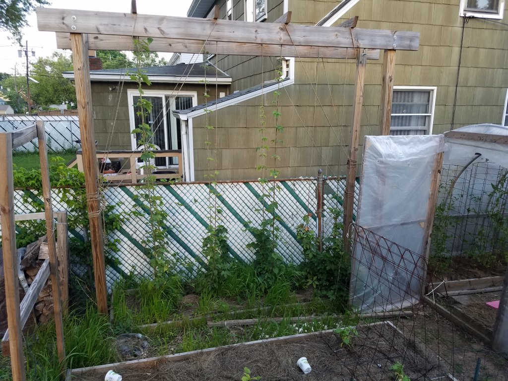 20180617_194445.jpg