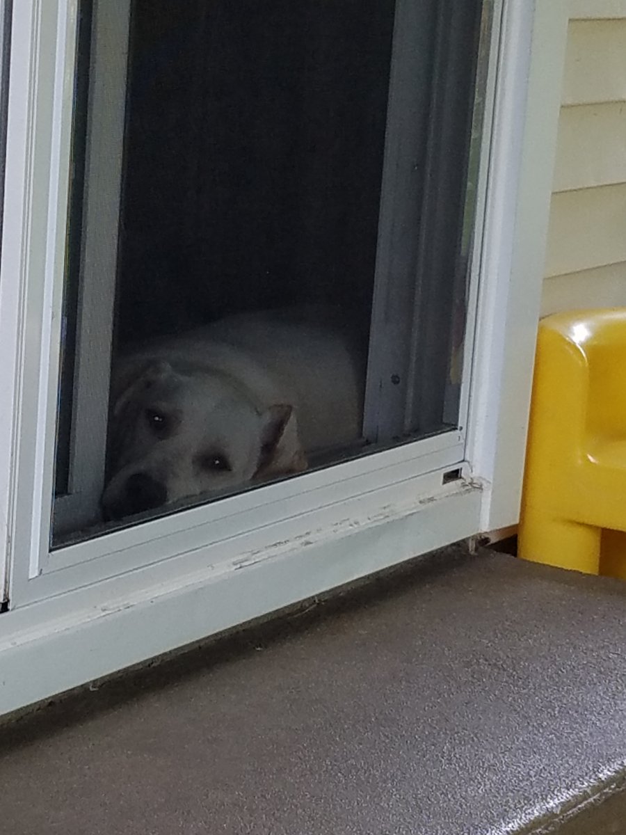 20180722_152729.jpg
