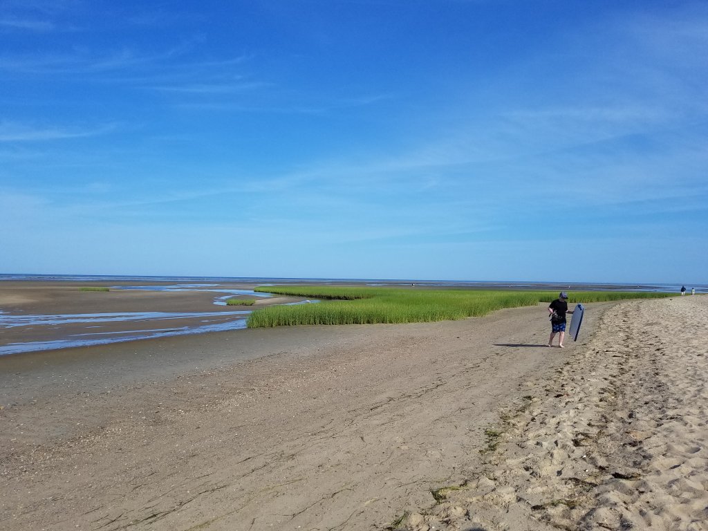 20180730_081654.jpg