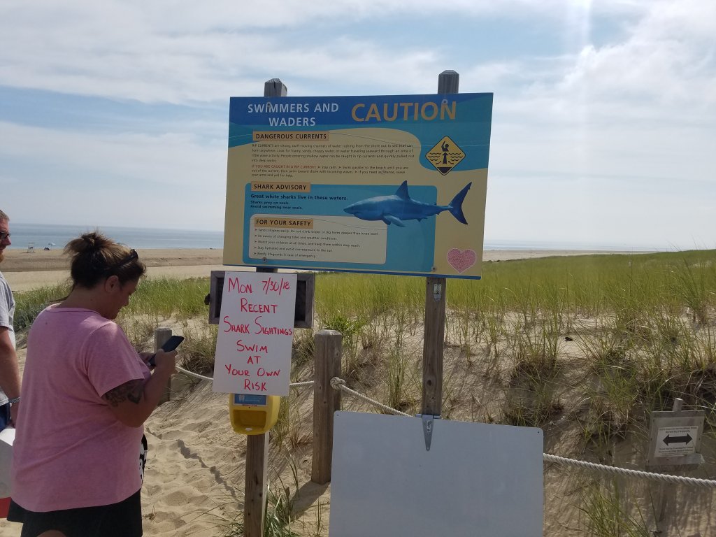 20180731_094933.jpg