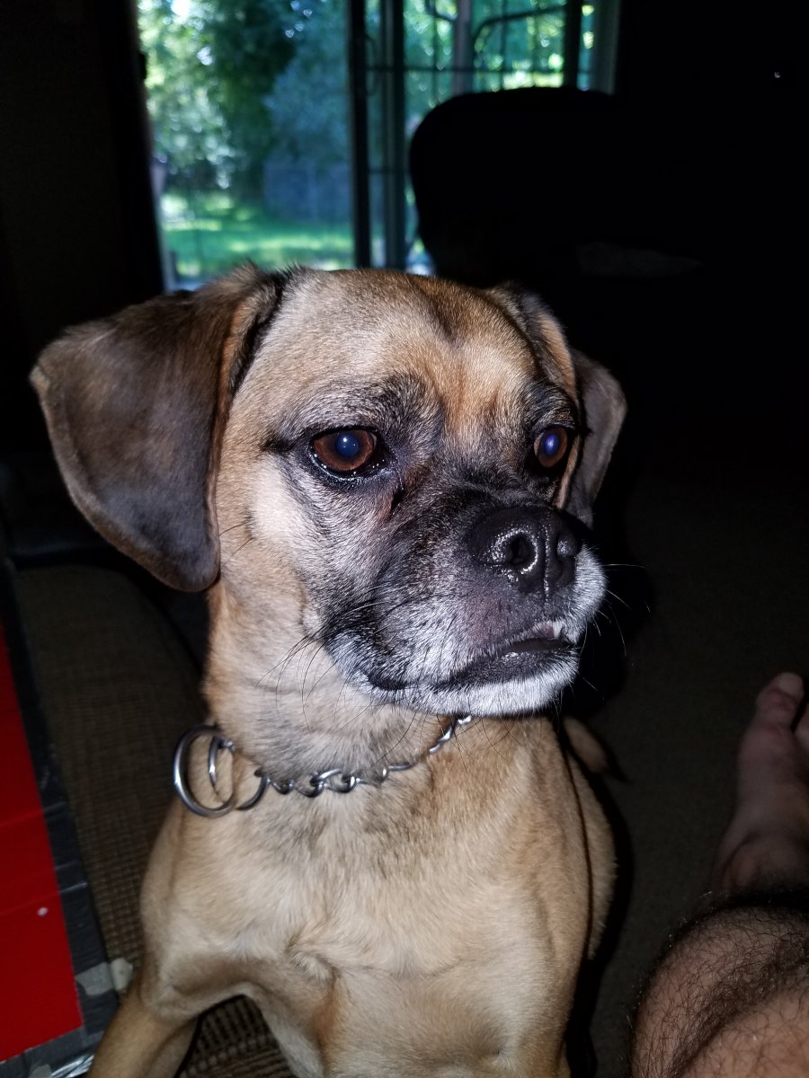 20180911_164853.jpg