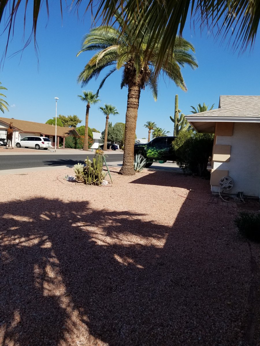 20180921_150731.jpg