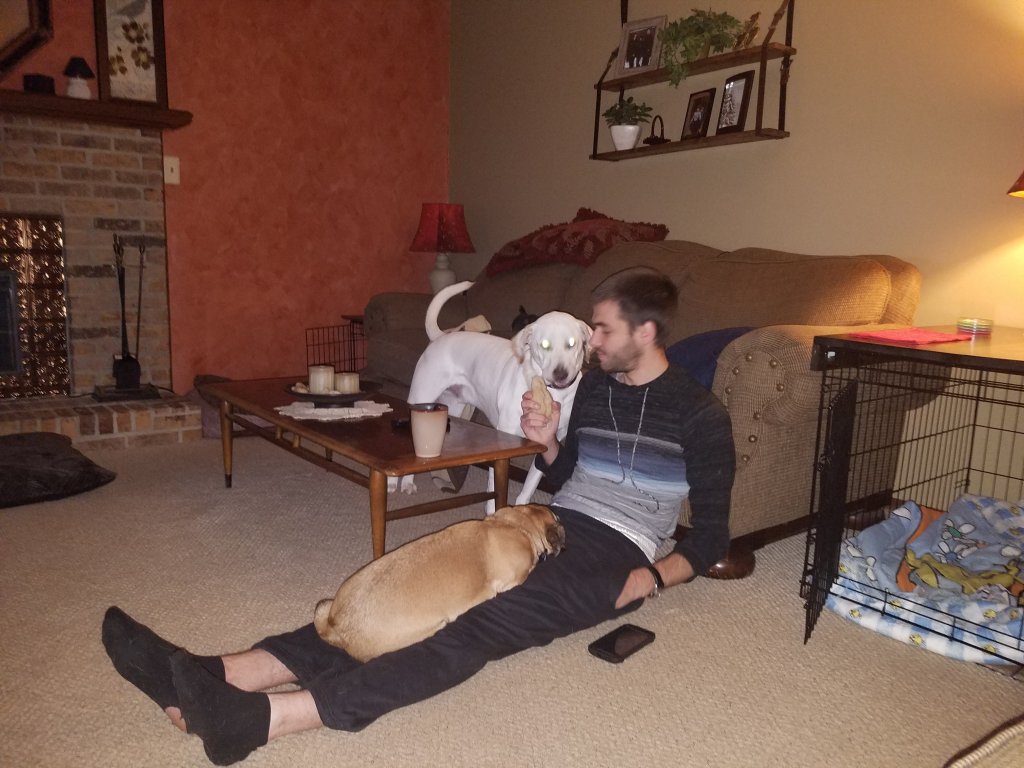20181102_065823.jpg