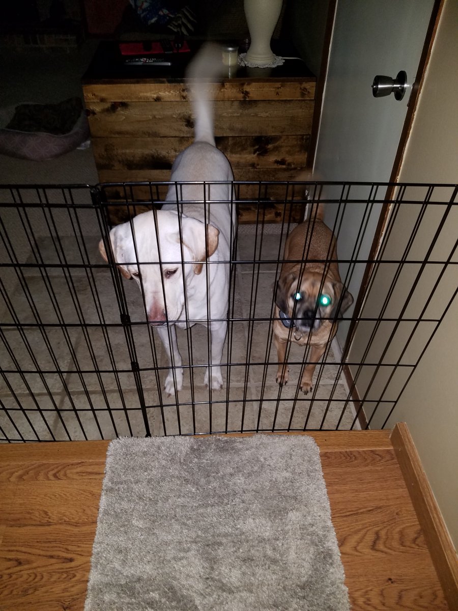20190131_175052.jpg