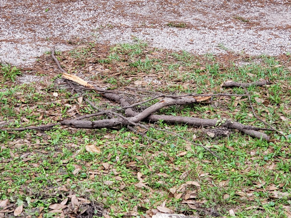 20190317_100813.jpg