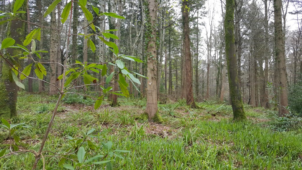 20190407_140900.jpg