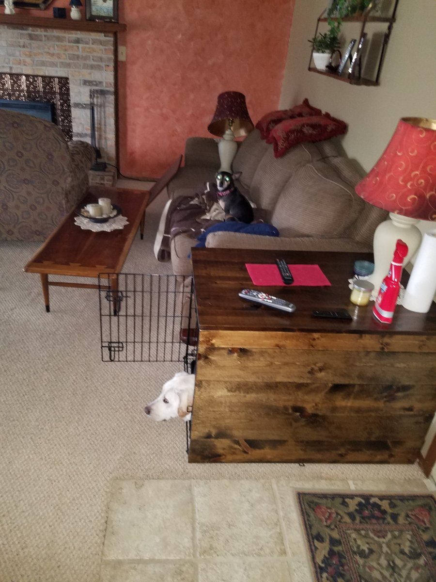 20190411_100940.jpg