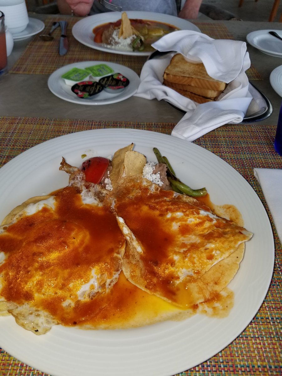 20190415_090503.jpg